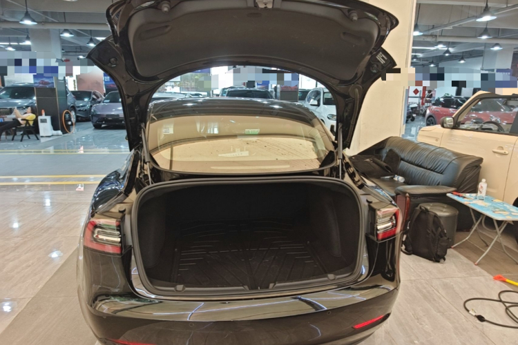 Tesla Model 3 2020 #19 Tesla Model 3 2020 car image #19