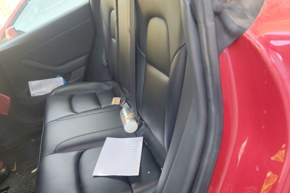 Tesla Model 3 2020 car image #19