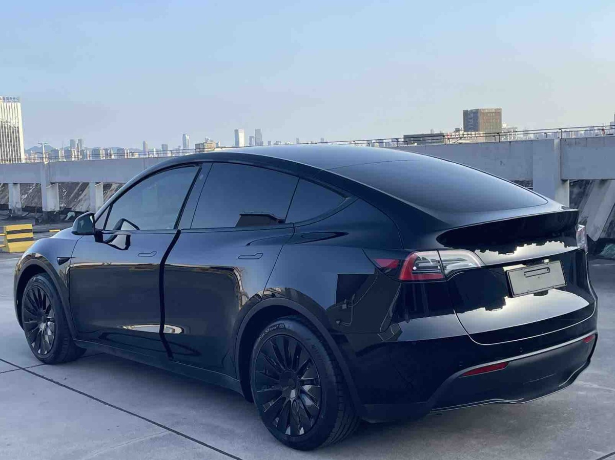 Tesla Model Y 2023 car image #4