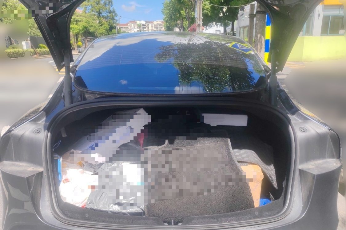 Tesla Model 3 2024 car image #8