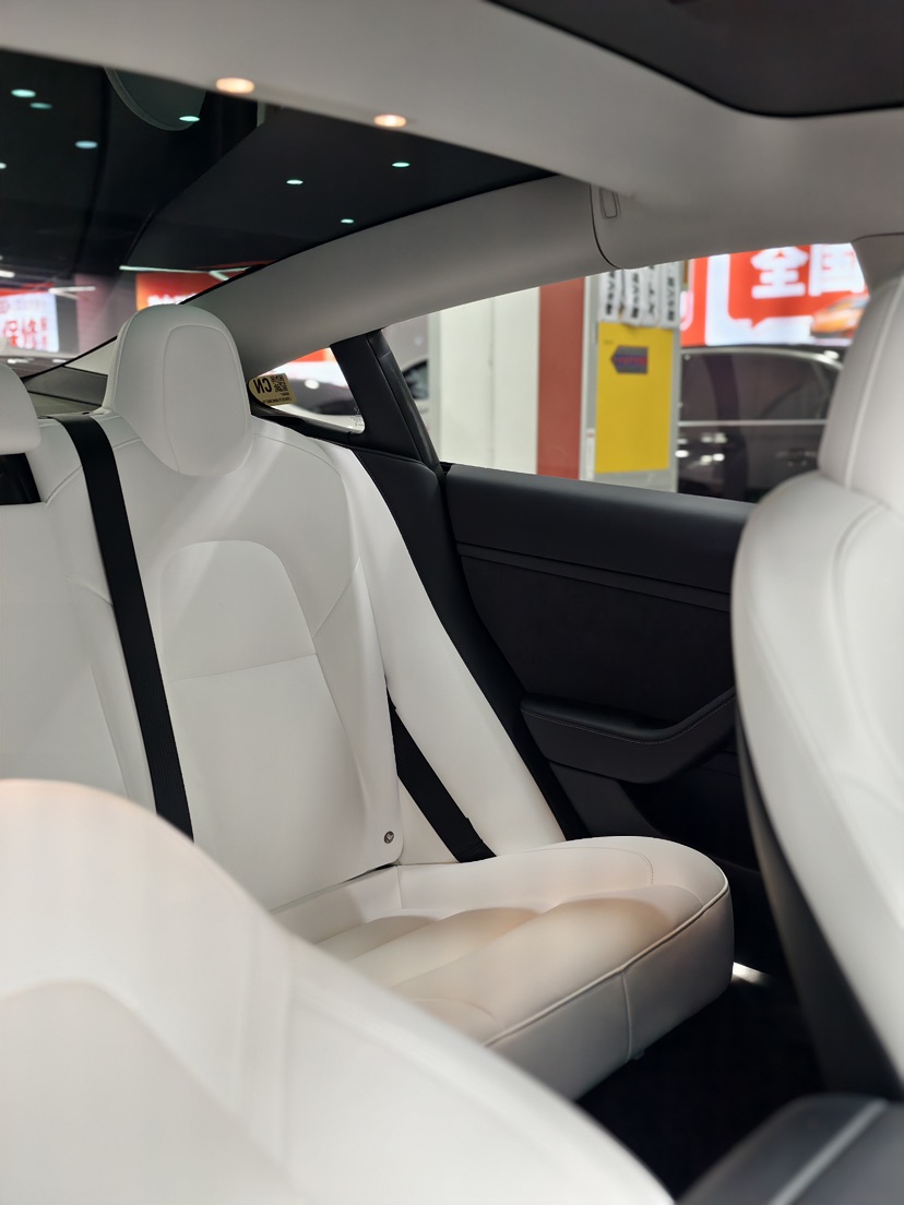 Tesla Model 3 2021 car image #9
