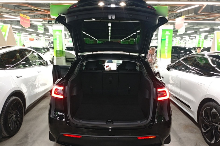 Tesla Model Y 2022 car image #19