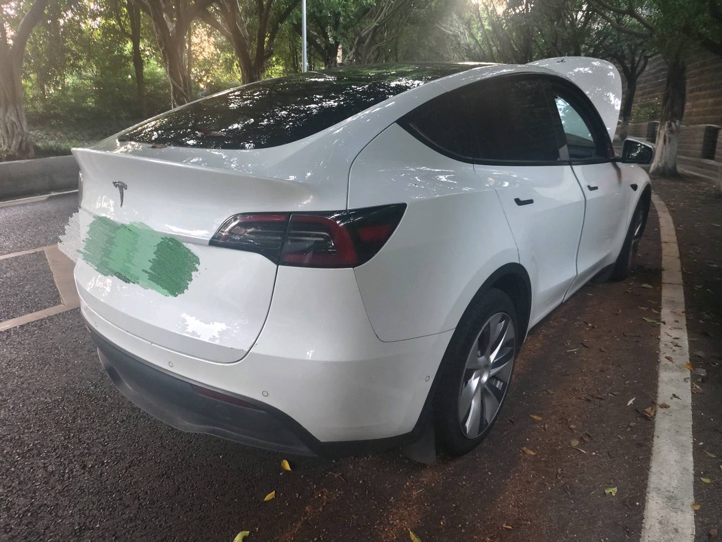 Tesla Model Y 2022 #6 Tesla Model Y 2022 car image #6