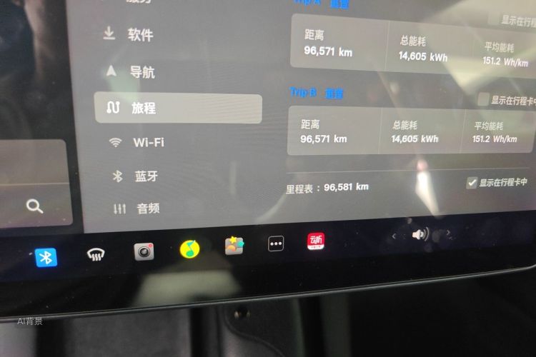 Tesla Model 3 2021 car image #14