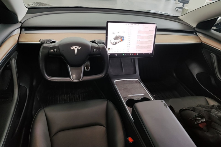 Tesla Model 3 2021 immagine di auto #10