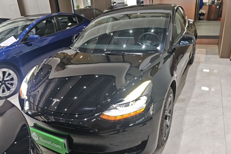 Tesla Model 3 2021 #3 Tesla Model 3 2021 car image #3
