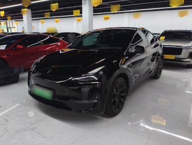 Tesla Model Y 2023 Tesla Model Y 2023 car image