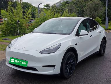 Tesla Model Y 2024 Tesla Model Y 2024 car image