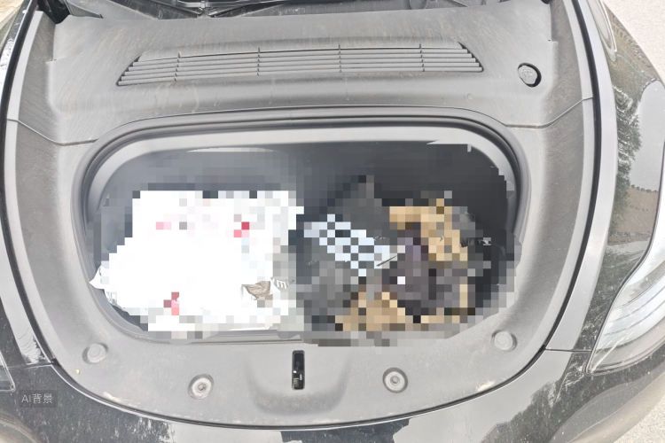 Tesla Model Y 2023 car image #22