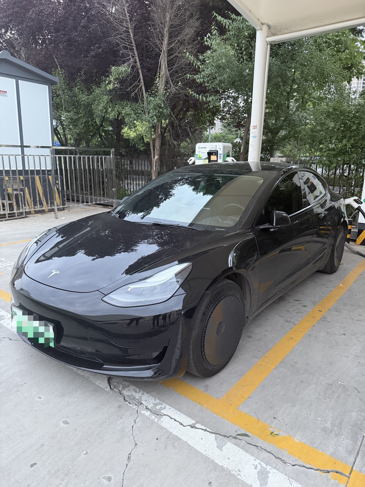 Tesla Model 3 2021 car image 