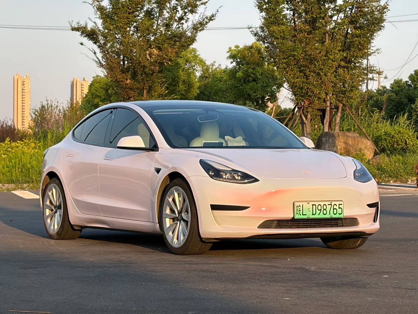 Tesla Model 3 2021 car image #2