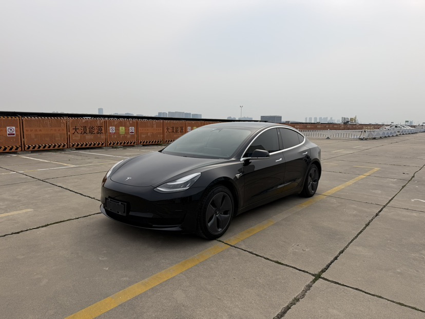 Tesla Model 3 2020 car image #3