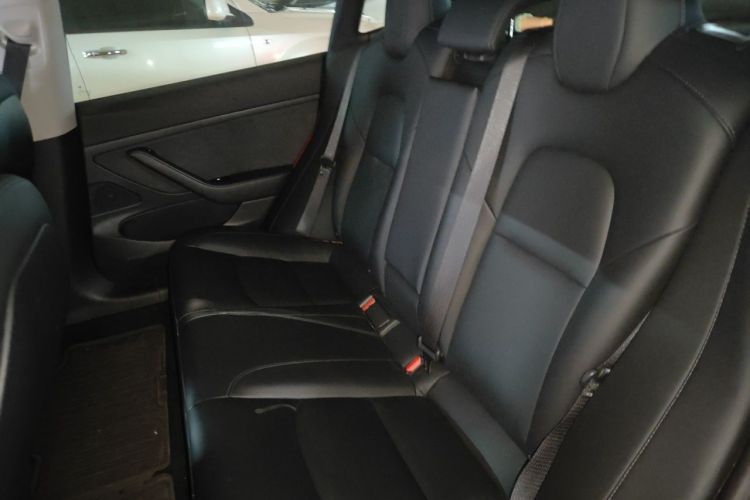 Tesla Model 3 2020 #14 Tesla Model 3 2020 car image #14