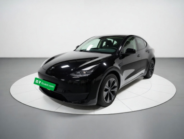 Tesla Model Y 2023 Tesla Model Y 2023 car image