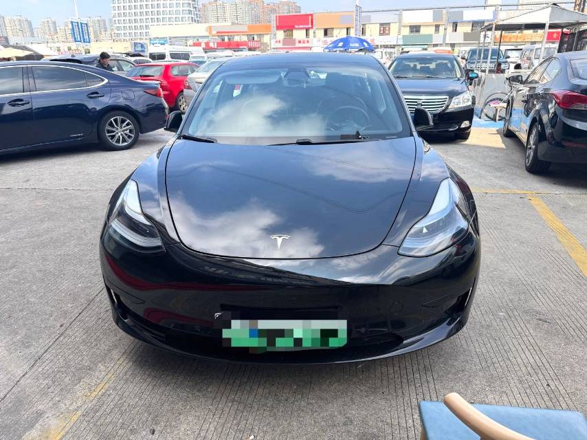 Tesla Model 3 2021 imagen de coche #2
