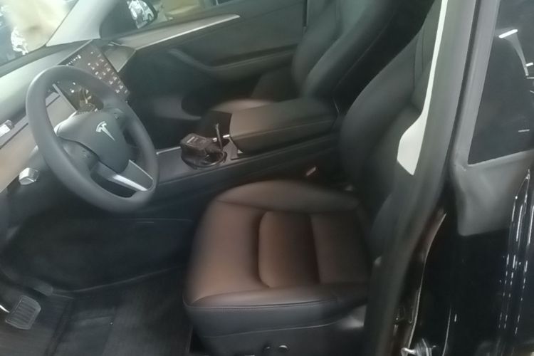 Tesla Model Y 2022 car image #15
