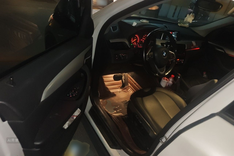 BMW X1 2018 car image #18