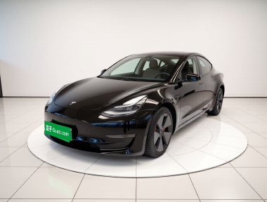 Tesla Model 3 2022 Tesla Model 3 2022 car image