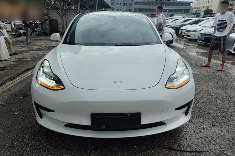 Tesla Model 3 2020 car image #3