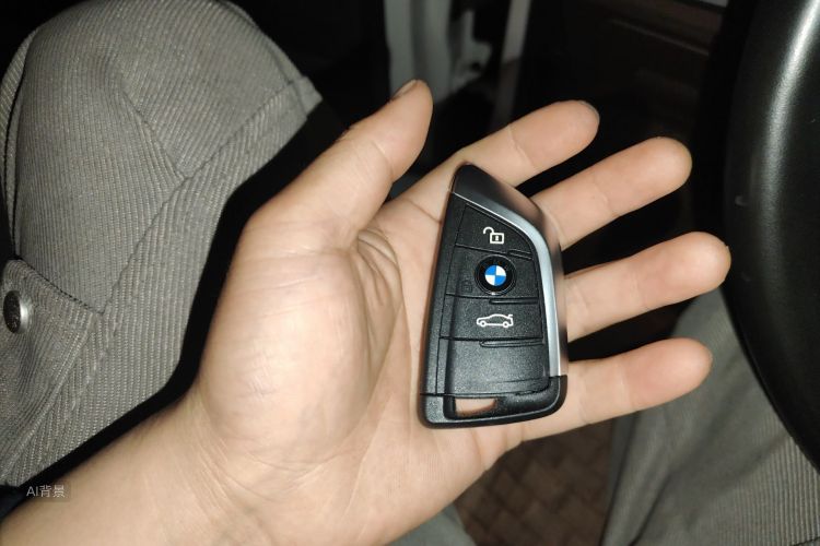 BMW X1 2020 car image #10