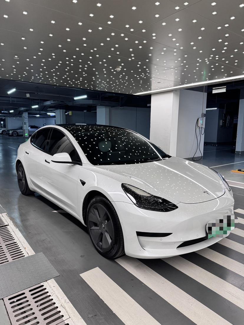 Tesla Model 3 2023 imagen de coche #4