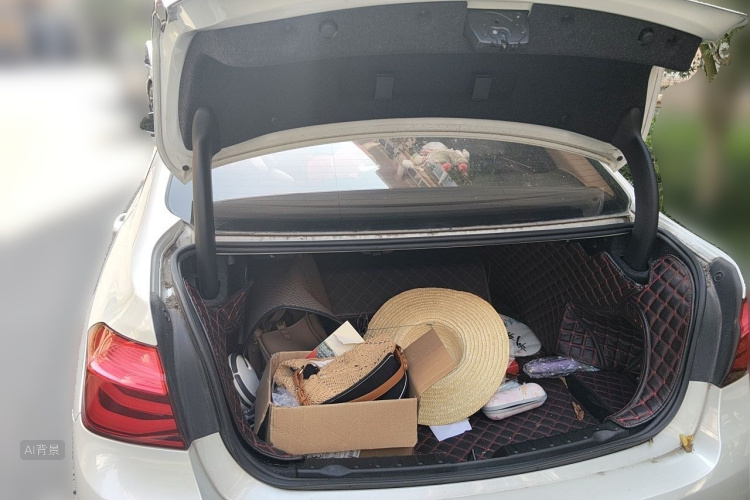 BMW 3 Series 2017 car image #21