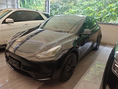 Tesla Model Y 2024 car image 