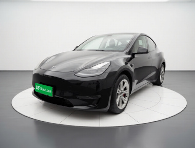 Tesla Model Y 2021 Tesla Model Y 2021 car image