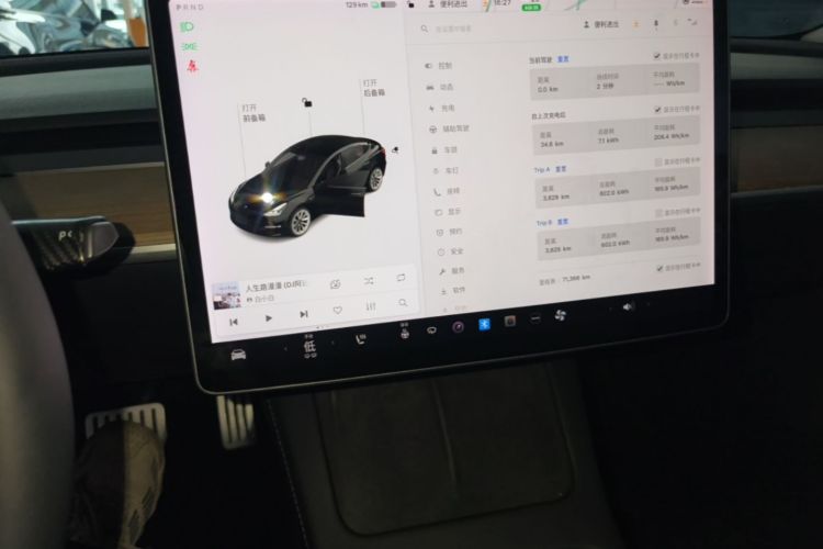 Tesla Model 3 2021 #13 Tesla Model 3 2021 car image #13