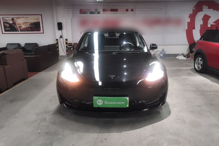 Tesla Model 3 2022 #3 Tesla Model 3 2022 car image #3