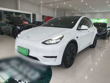 Tesla Model Y 2024 car image 