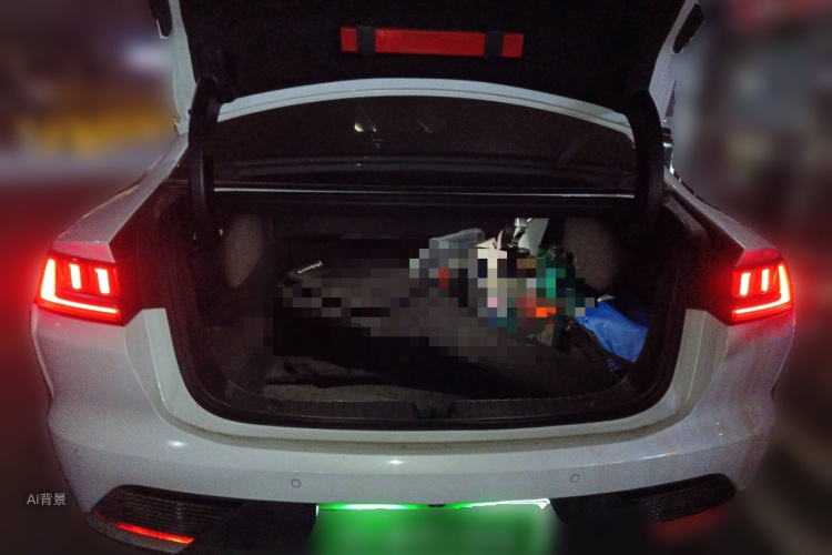 BYD Han 2022 immagine di auto #21