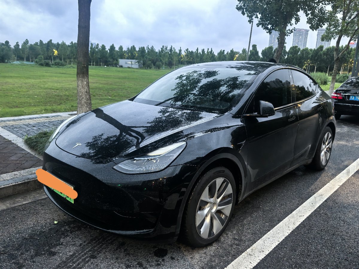 Tesla Model Y 2023 car image 