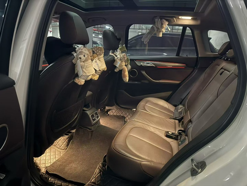 BMW X1 2019 #4 BMW X1 2019 car image #4
