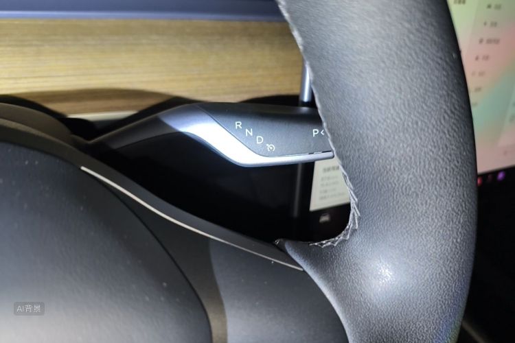 Tesla Model Y 2021 car image #16