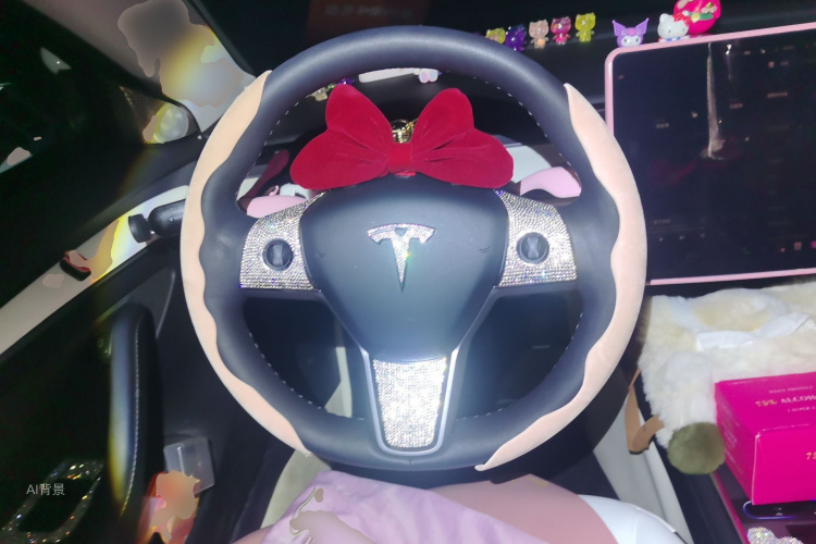 Tesla Model 3 2022 car image #12