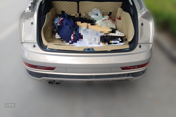 Audi Q3 2019 car image #21