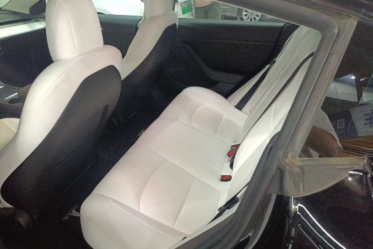 Tesla Model 3 2022 #17 Tesla Model 3 2022 car image #17