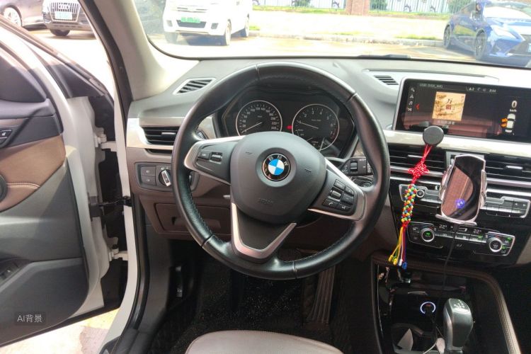 BMW X1 2018 car image #12
