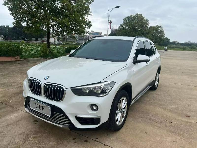 BMW X1 2019 BMW X1 2019 car image