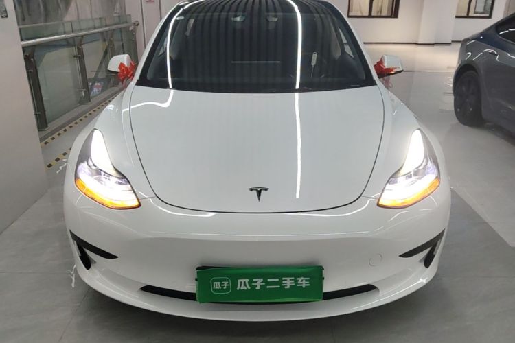 Tesla Model 3 2021 immagine di auto #3