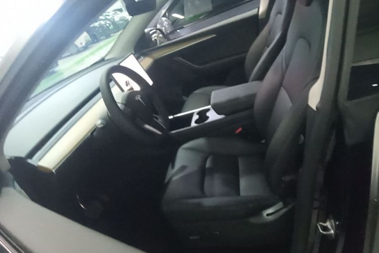 Tesla Model Y 2021 car image #15