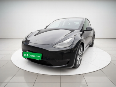 Tesla Model Y 2021 Tesla Model Y 2021 car image