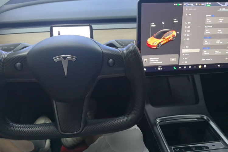 Tesla Model 3 2021 car image #10