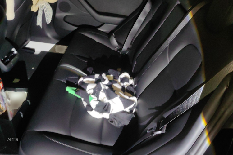 Tesla Model 3 2022 car image #19