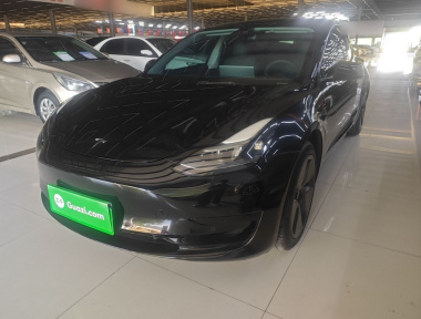 Tesla Model 3 2023 immagine di auto 