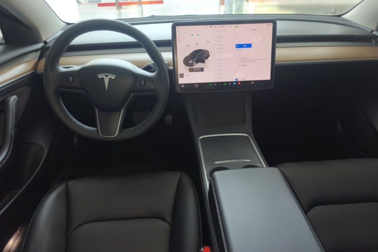 Tesla Model 3 2023 car image #10