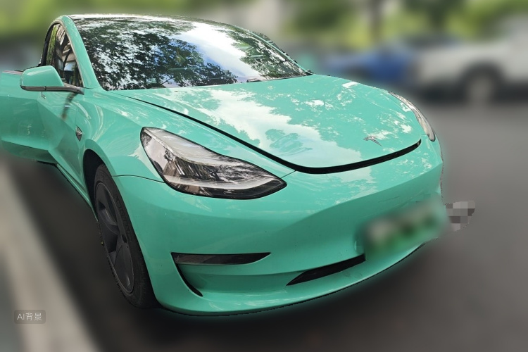Tesla Model 3 2020 car image #4