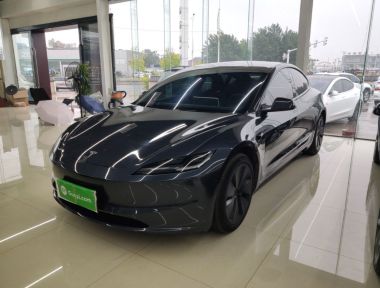Tesla Model 3 2024 car image 