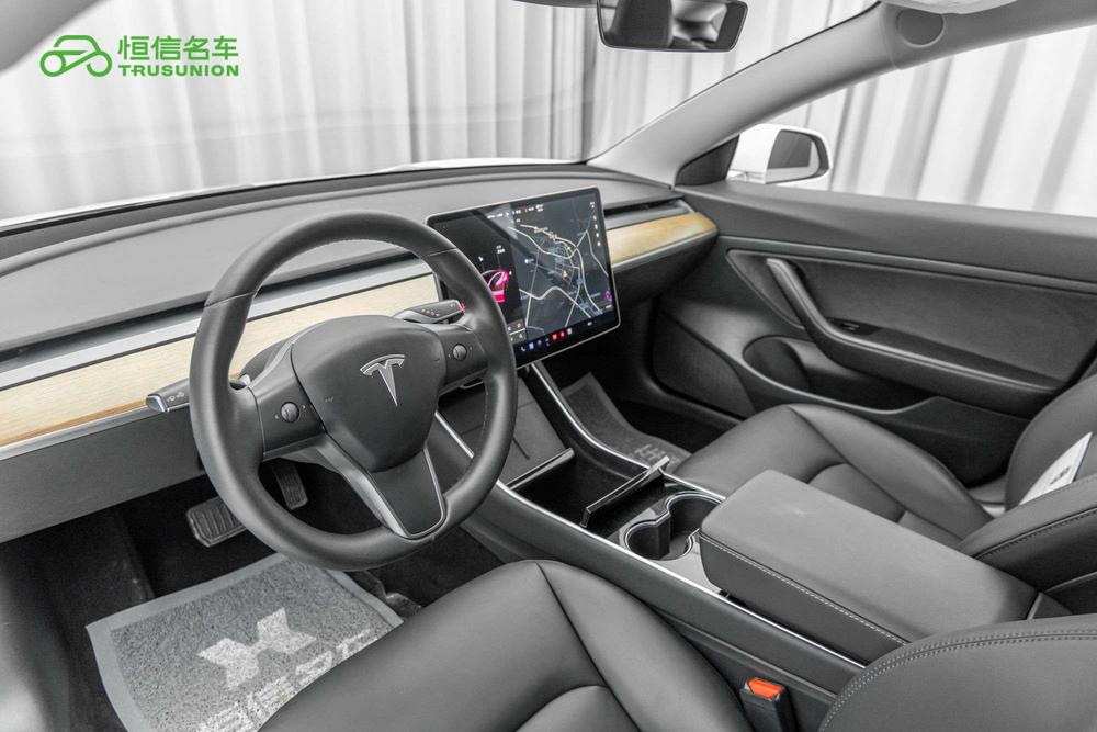 Tesla Model 3 2020 car image #17